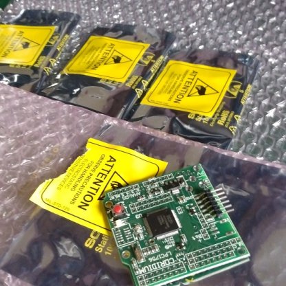 Surviving the chip shortage