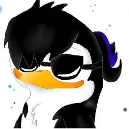 Webstore is back online