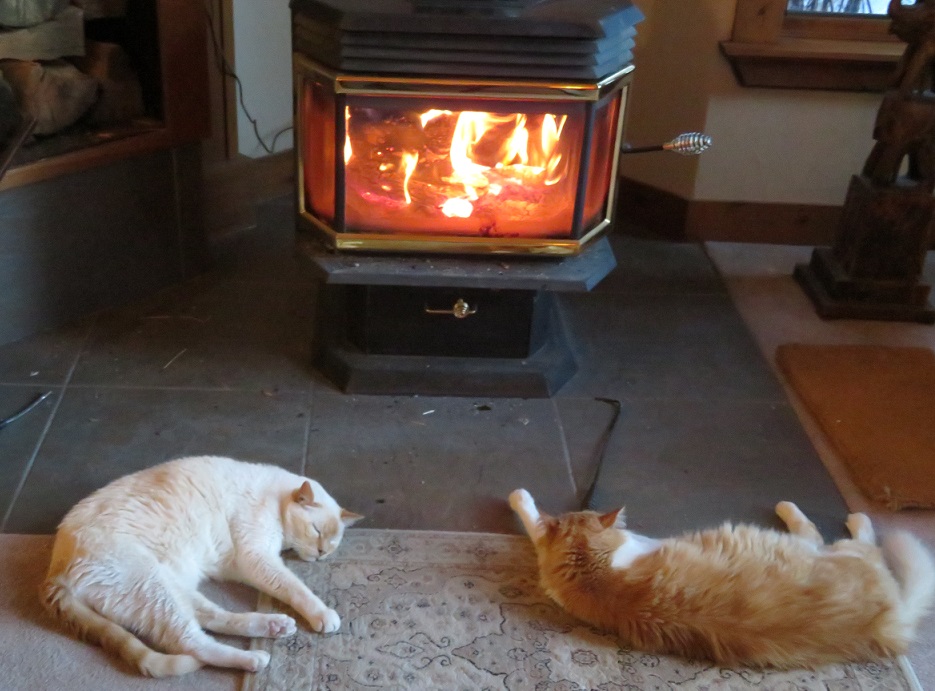 Cat Approved Heat